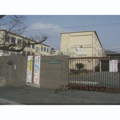 高野中学校 距離:330m