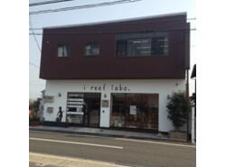 写真：