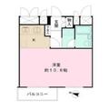 中野桃園パークハウス ２０４ ワンルームの間取り図