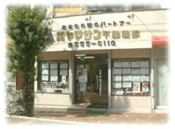 写真：