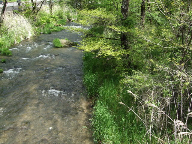 アットホーム 北佐久郡軽井沢町 大字長倉 中軽井沢駅 住宅用地 北佐久郡軽井沢町の土地 売地 宅地 分譲地など土地の購入情報