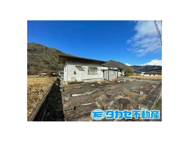 Oaza oak (Quercus serrata), Nosakogawa-mura, Yoshino-gun