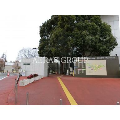 東京工業大学大岡山キャンパス 距離：3,240m
