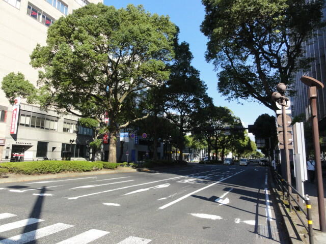 鹿児島県 鹿児島市 中央町 駅 の貸し店舗 賃貸 不動産情報はアットホーム
