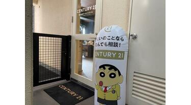 お得商店 ダイワ DN-8015(トリアセテート 偏光グラス) ブラック/グレー