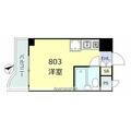 朝日後楽園マンション ８０３ ワンルームの間取り図