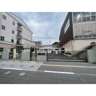 さいたま市立桜木小学校 距離:460m