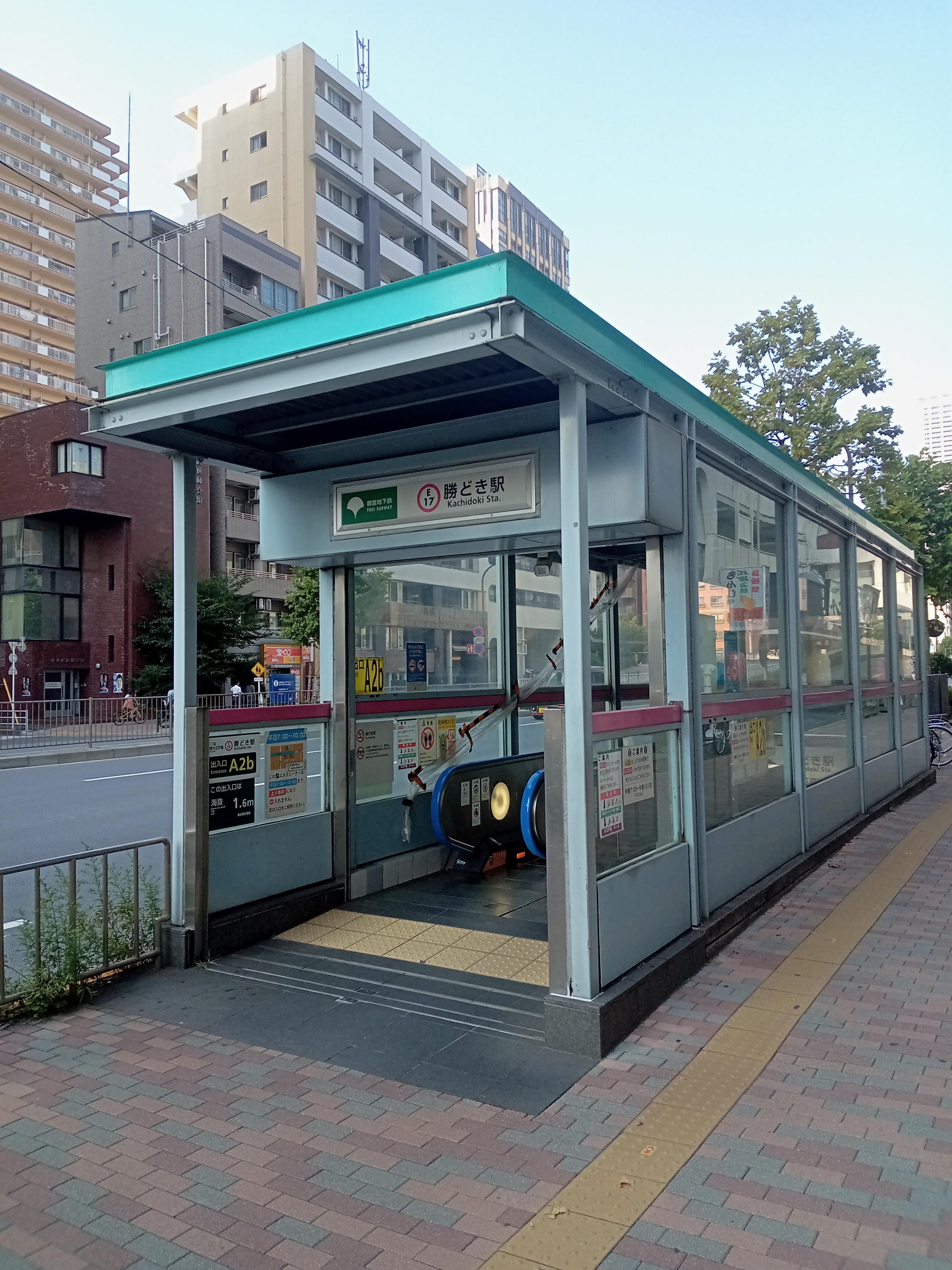 近日中に処分します様 川本産業 富士通ゼネラル 貼れる眼帯 3枚 : くすりの勉強堂