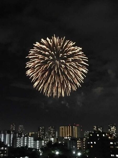 プラウドシティ大田六郷フォレスト街区棟 9階 ３ｓｌｄｋ 大田区の中古マンション アットホーム マンション購入の情報