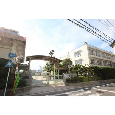 広島市立舟入小学校 距離：409m