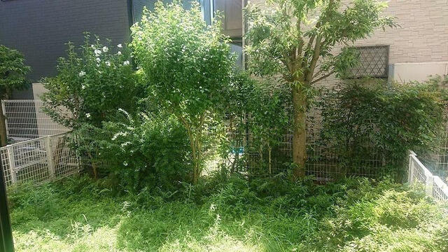 アットホーム 本厚木ダイヤモンドマンション 1階 ３ｌｄｋ 厚木市の中古マンション マンション購入の情報