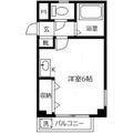 メゾン・ミューズ ２０５ ワンルームの間取り図