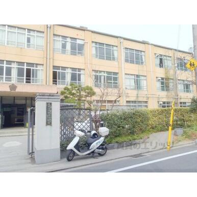 桃山中学校 距離：2,500m