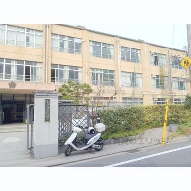 桃山中学校 距離:2,500m