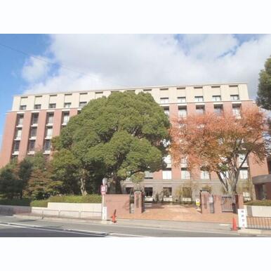 京都薬科大学 距離:2,300m