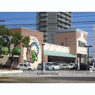 天満屋ハピーズ卸センター店 距離:512m