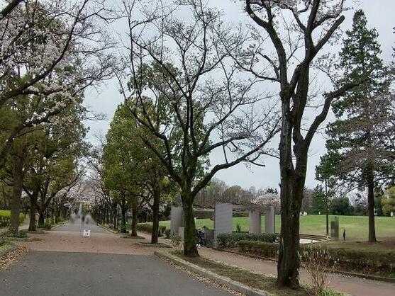 【アットホーム】府中市 天神町4丁目（府中駅） 住宅用地[1017549387]府中市の土地｜売地・宅地・分譲地など土地の購入情報