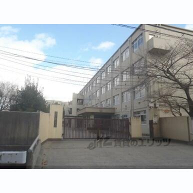 桂川中学校 距離:300m