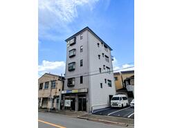 写真：