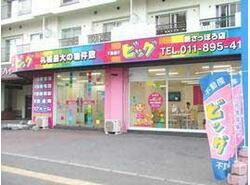 写真：