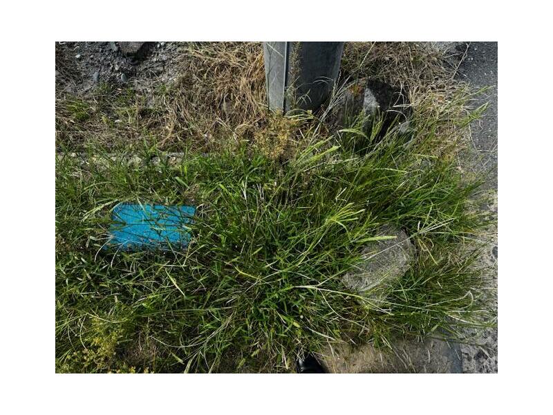 Saga City, Kawasoe Town, Oaza Inuidō (Saga Station) 2-story 4DK