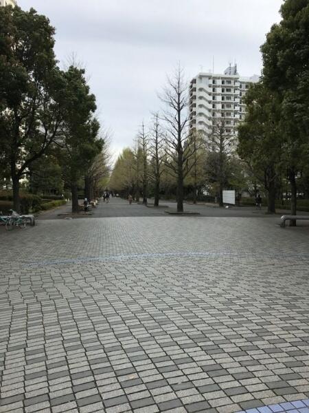 光が丘パークタウンいちょう通り東 5階 4ldk 練馬区の中古マンション アットホーム マンション購入の情報 光が丘パークタウンいちょう通り東 5階 4ldk 練馬区の中古マンション アットホーム マンション購入の情報