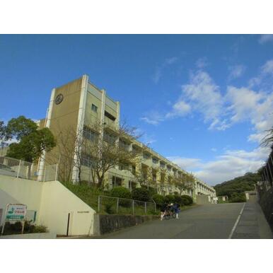 中央小学校 距離：1,702m