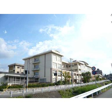 宝塚市立宝塚第一小学校 距離:509m