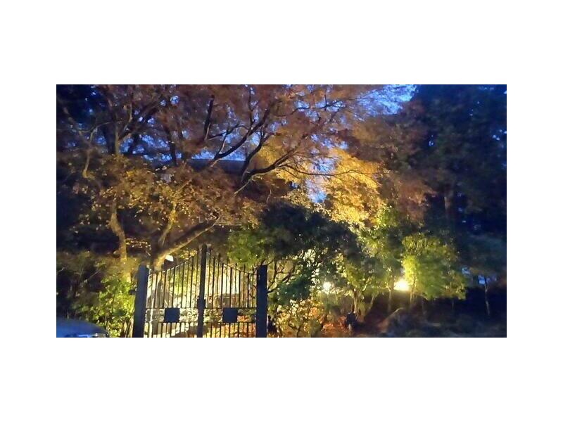 Izu City Shimozawa 2-story building 3DK