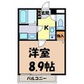第２中央ビルディング 5階 １Kの間取り図