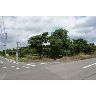 つくば市 稲岡 （荒川沖駅 ） 住宅用地