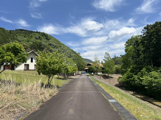 古*径様 川根茶〔川根町笹間上〕在庫一掃販売2.7キロ分 最上の品質な 川根茶〔川根町笹間上〕在庫一掃販売2.7キロ分 茶 - 茶