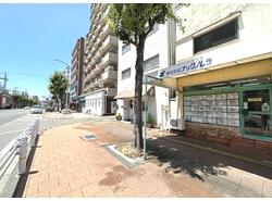 写真：