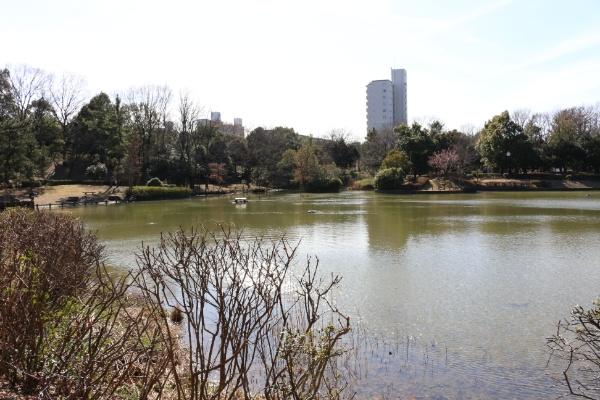 豊ヶ丘団地5 1 5階 3ldk 多摩市の中古公団住宅 アットホーム マンション購入の情報 豊ヶ丘団地5 1 5階 3ldk 多摩市の中古公団住宅 アットホーム マンション購入の情報