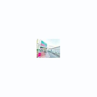 DAISO ラッキー長瀬店 距離:1,297m