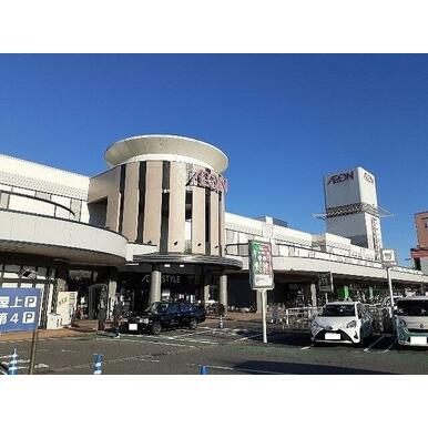 イオンモール成田 距離:1,500m