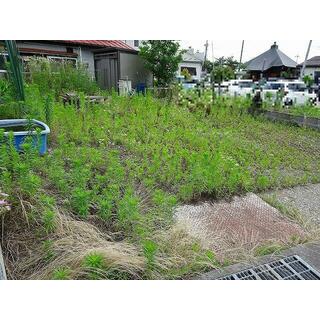 会津若松市 蚕養町 （会津若松駅 ） 住宅用地