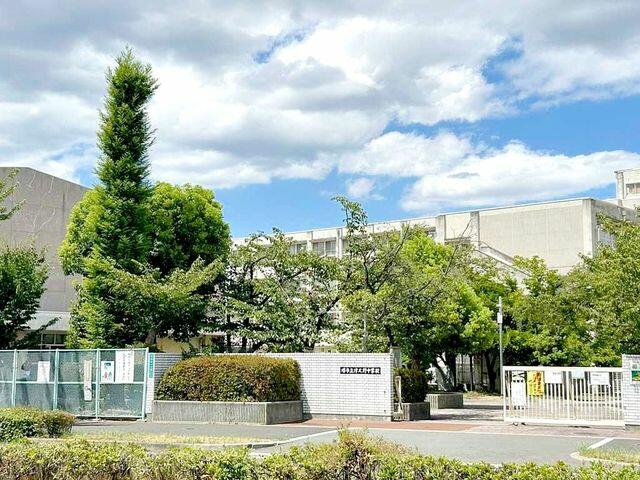 Amazon.co.jp: 白野 伊津夫: 本、バイオグラフィー、最新