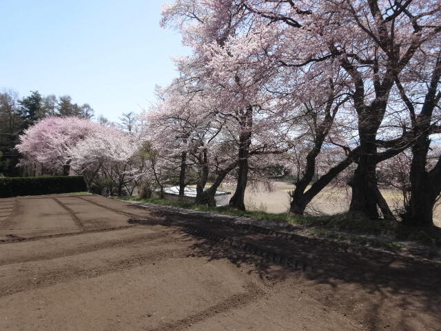 アットホーム】小諸市 己 （小諸駅 ） 住宅用地[6986123186]小諸