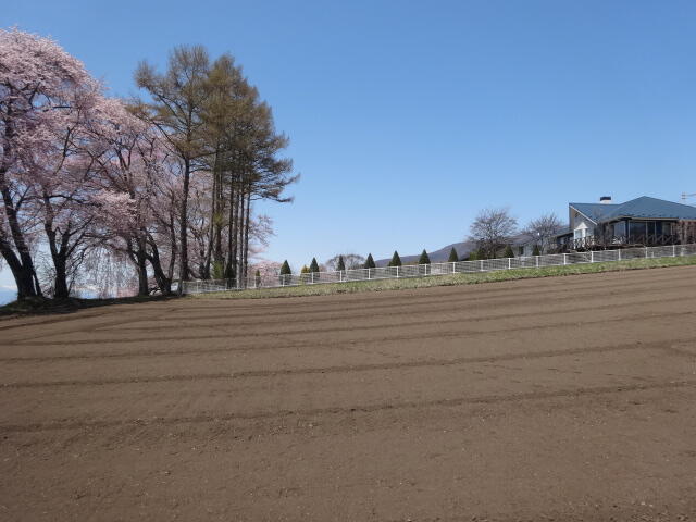 アットホーム】小諸市 己 （小諸駅 ） 住宅用地[6986123186]小諸