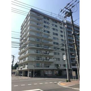 チサンマンション札幌第一 11階 1K