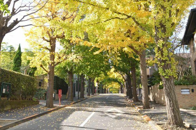 アットホーム 大田区 田園調布３丁目 田園調布駅 住宅用地 大田区の土地 売地 宅地 分譲地など土地の購入情報
