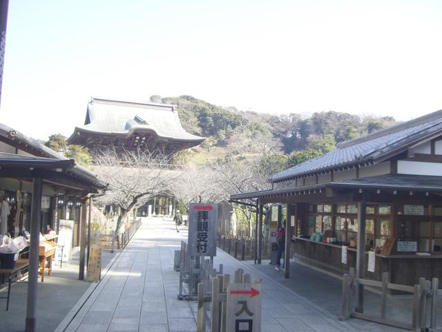神奈川県 鎌倉市 山ノ内 北鎌倉駅 の貸し店舗 賃貸 不動産情報はアットホーム