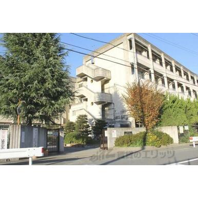 長岡第三中学校 距離：2,300m