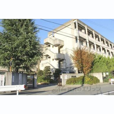 長岡第三中学校 距離:2,300m