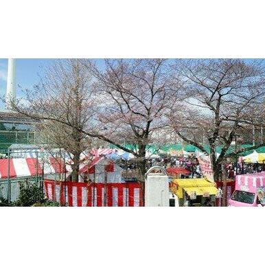 田道広場公園 距離：728m