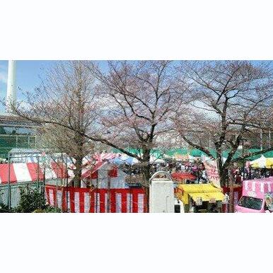 田道広場公園 距離:728m