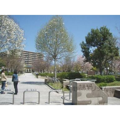 光徳公園 距離:680m