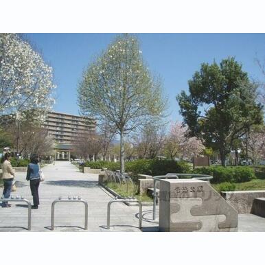 光徳公園 距離:680m