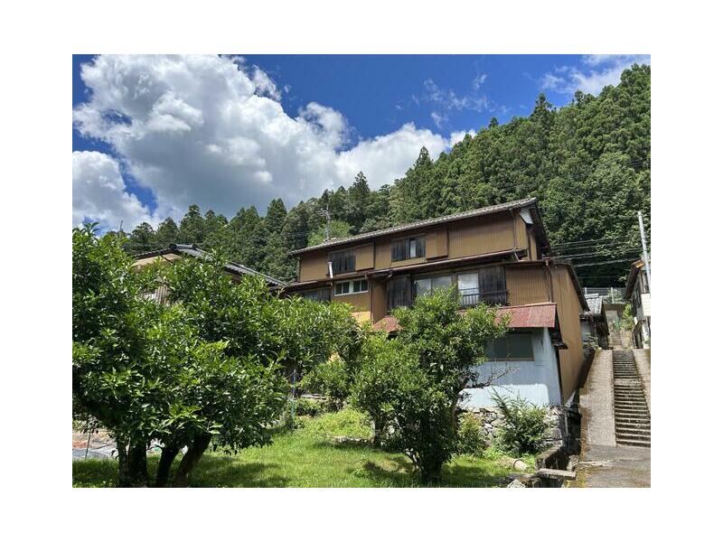 2 floors above ground and 1 basement floor 7SDK

500,000 yen